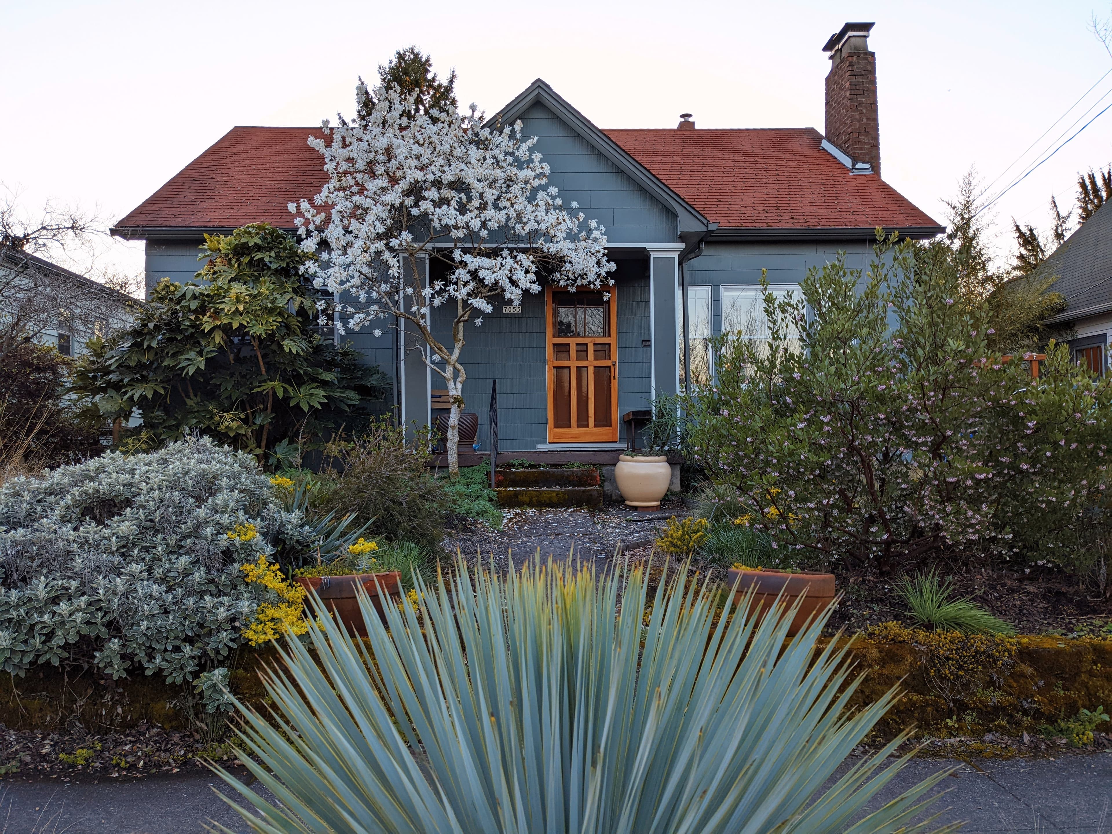 Professional home inspection services